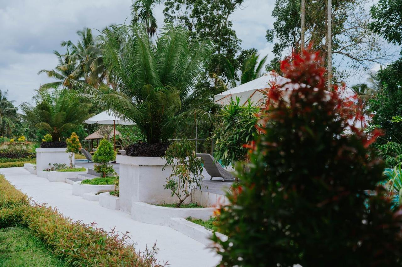 Nirvana Hotel Resort Tetebatu Extérieur photo